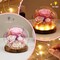 Gifts for Women Mom Grandma, Preserved Flowers Roses in Glass Dome with LED Light, Mother Day Birthday Valentine Gifts (Pink)